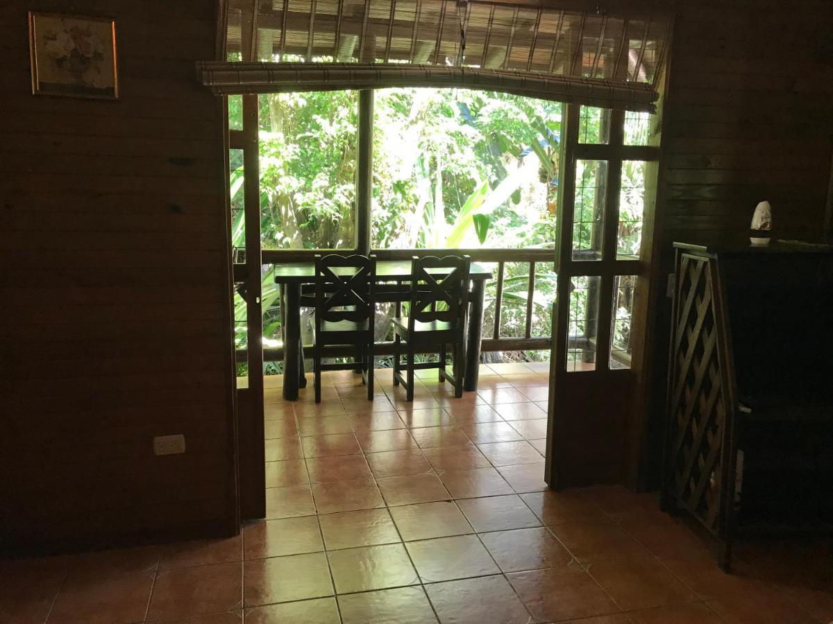 Flor De Paraiso Bungalows Монтесума Екстериор снимка