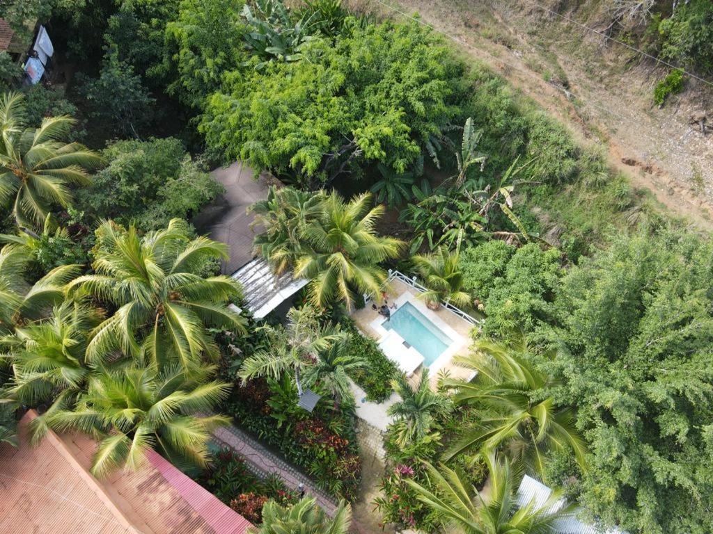 Flor De Paraiso Bungalows Монтесума Екстериор снимка