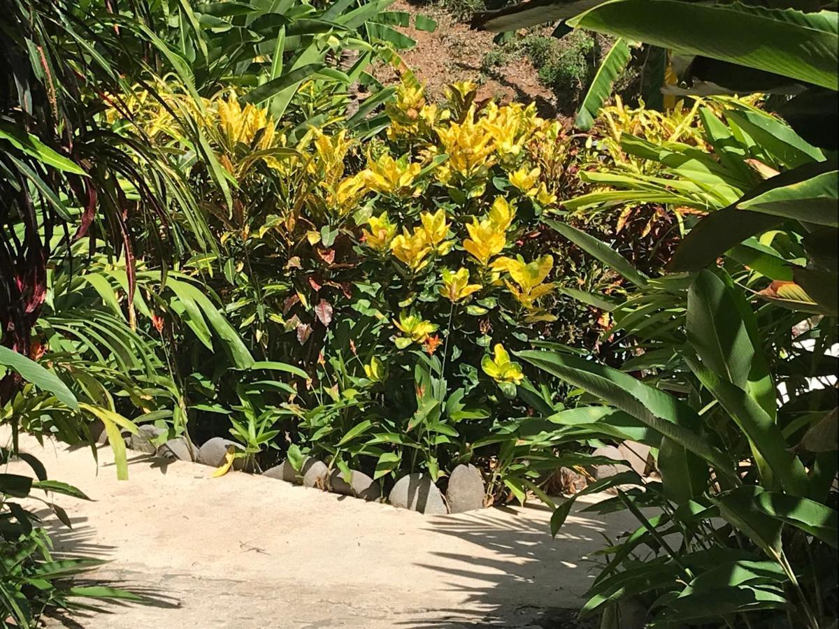 Flor De Paraiso Bungalows Монтесума Екстериор снимка