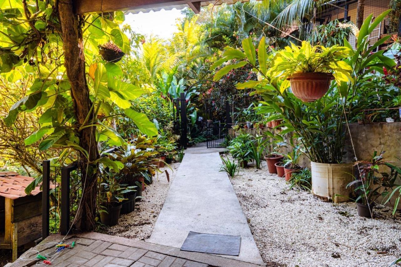 Flor De Paraiso Bungalows Монтесума Екстериор снимка