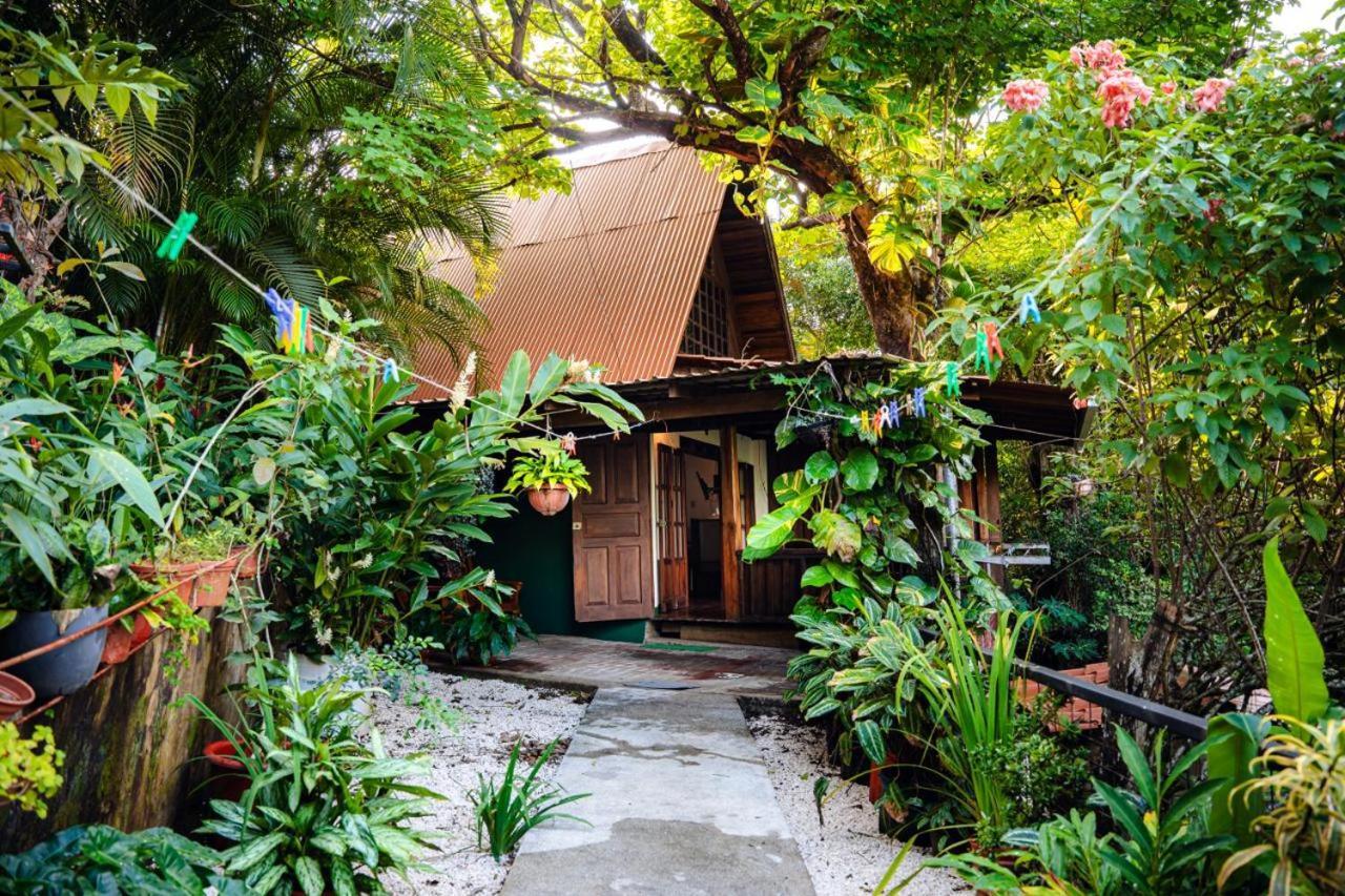 Flor De Paraiso Bungalows Монтесума Екстериор снимка